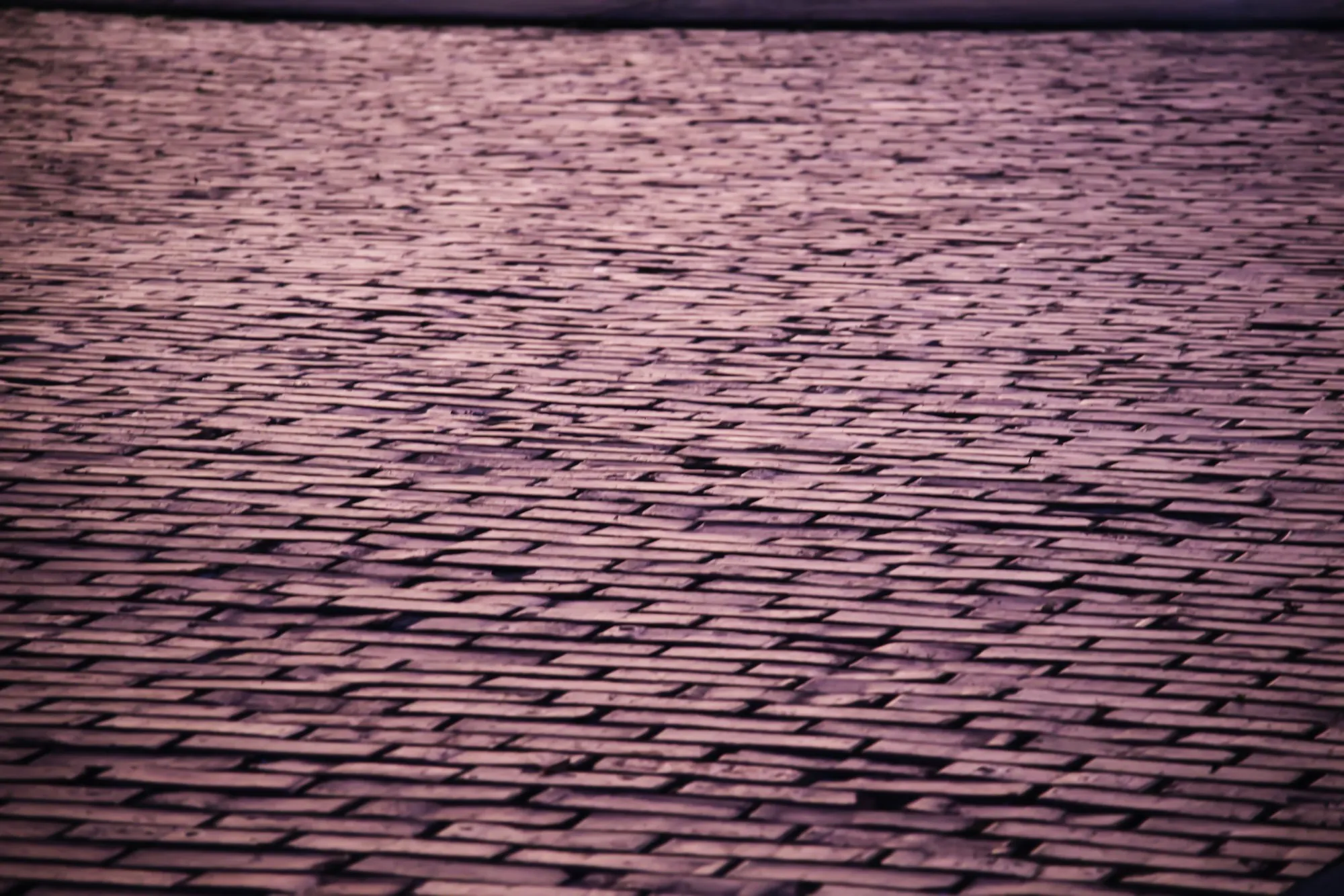 Rows of muted purple-gray asphalt shingles across a roof, the kind checked for hail damage after a Brookhaven storm